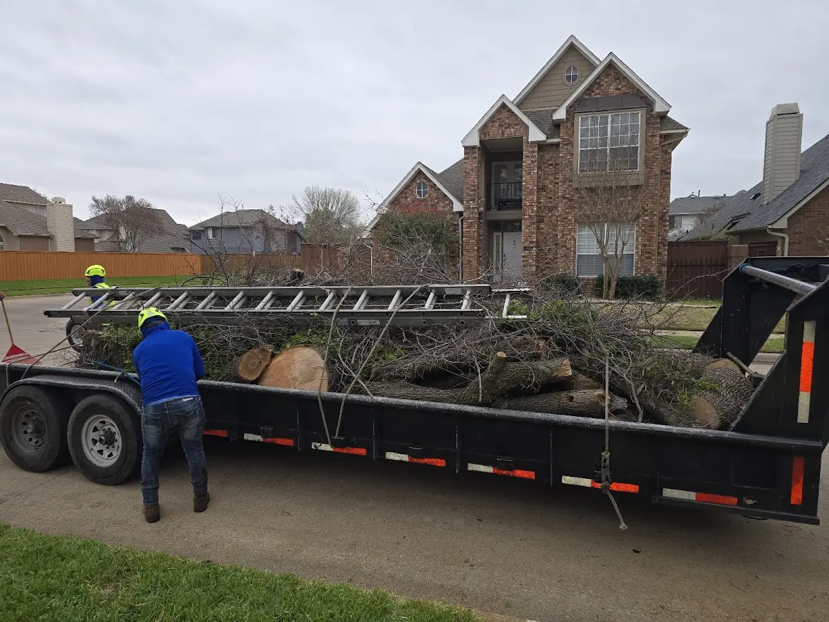 Expert Tree Removal with proper safety equipment in Kanawha Falls